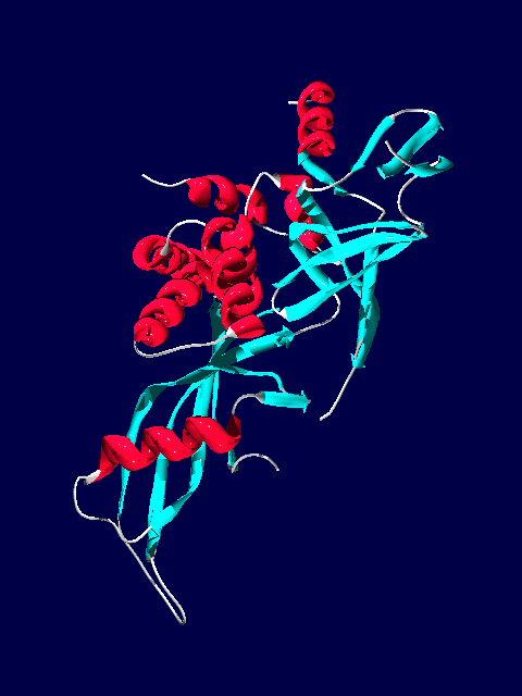 protein pic